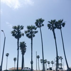 Meet your Posher, Sam